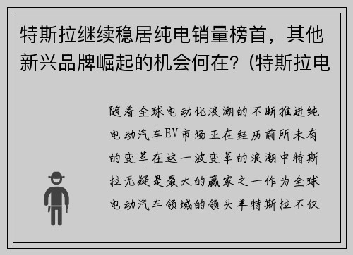 特斯拉继续稳居纯电销量榜首，其他新兴品牌崛起的机会何在？(特斯拉电动车销量2020)