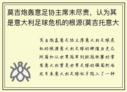 莫吉炮轰意足协主席未尽责，认为其是意大利足球危机的根源(莫吉托意大利文)