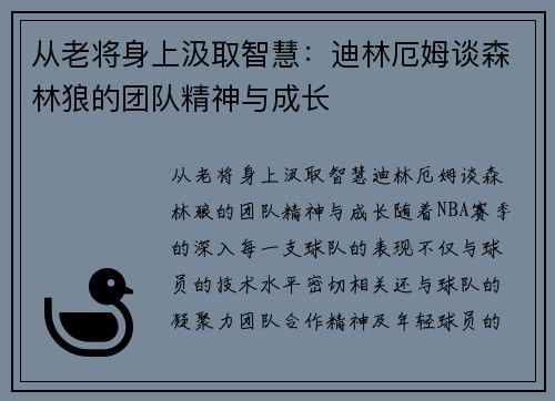从老将身上汲取智慧：迪林厄姆谈森林狼的团队精神与成长