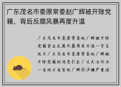 广东茂名市委原常委赵广辉被开除党籍，背后反腐风暴再度升温
