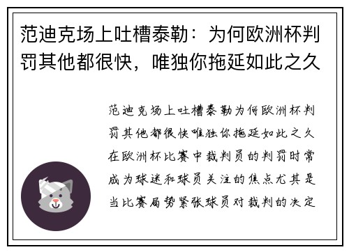 范迪克场上吐槽泰勒：为何欧洲杯判罚其他都很快，唯独你拖延如此之久？