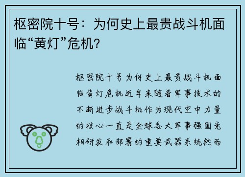 枢密院十号：为何史上最贵战斗机面临“黄灯”危机？